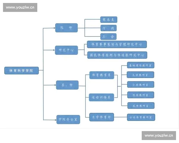 以体育数据驱动的竞技表现分析与趋势洞察新视角研究方法与实践应用 以体育数据驱动的竞技表现分析与趋势洞察新视角研究方法与实践应用